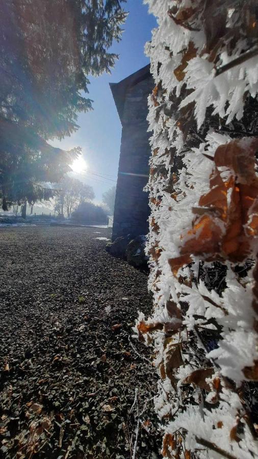 Вилла Les 12 Bois Du Cerf Tailles Экстерьер фото